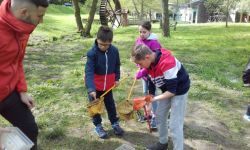 Classe Decouverte   065